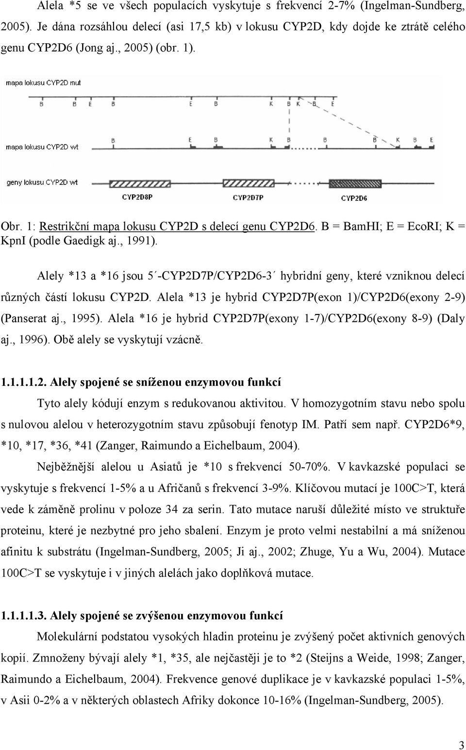 Alely *13 a *16 jsou 5 -CYP2D7P/CYP2D6-3 hybridní geny, které vzniknou delecí různých částí lokusu CYP2D. Alela *13 je hybrid CYP2D7P(exon 1)/CYP2D6(exony 2-9) (Panserat aj., 1995).