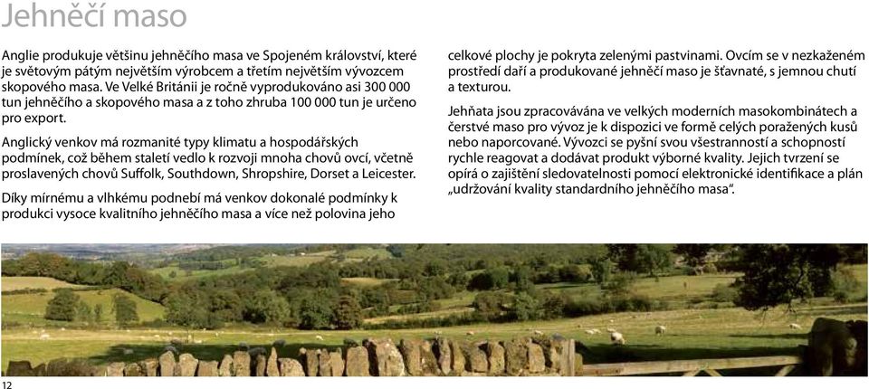 Anglický venkov má rozmanité typy klimatu a hospodářských podmínek, což během staletí vedlo k rozvoji mnoha chovů ovcí, včetně proslavených chovů Suffolk, Southdown, Shropshire, Dorset a Leicester.