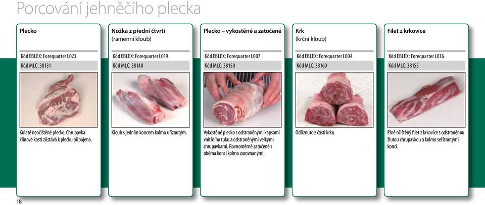 neočištěné plecko. Chrupavka klínové kosti zůstává k plecku připojena. Kloub s jedním koncem kolmo uříznutým.