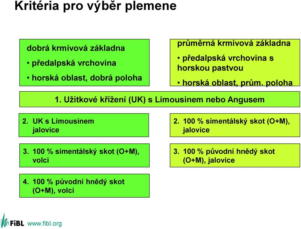 Užitkové křížení (UK) s Limousinem nebo Angusem 2. UK s Limousinem jalovice 2.