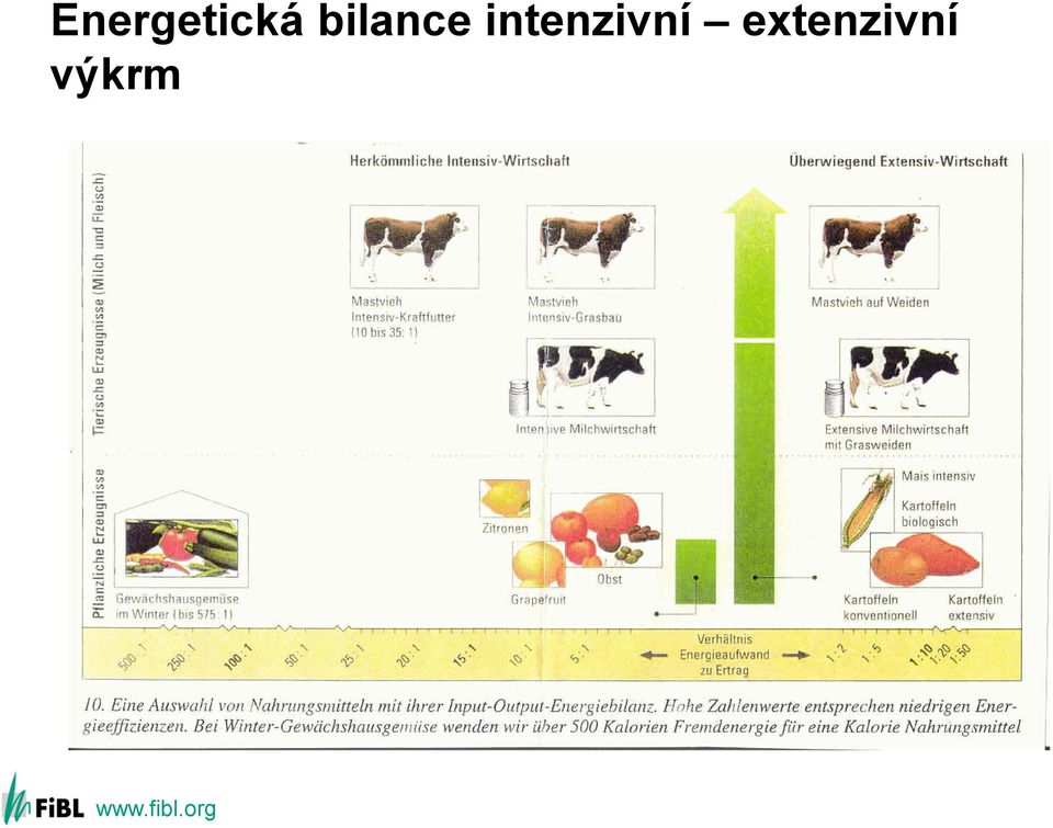 intenzivní