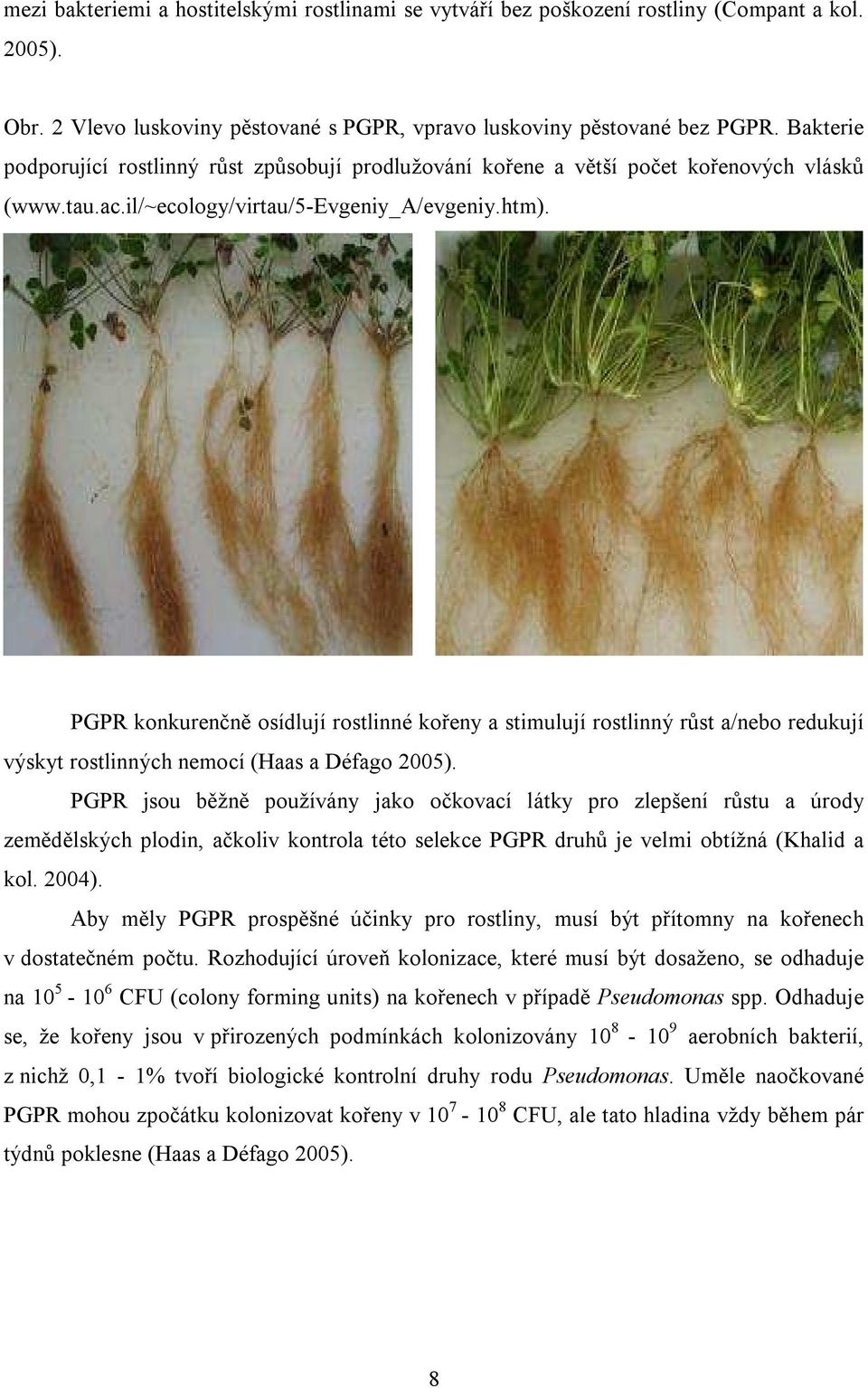 PGPR konkurenčně osídlují rostlinné kořeny a stimulují rostlinný růst a/nebo redukují výskyt rostlinných nemocí (Haas a Défago 2005).