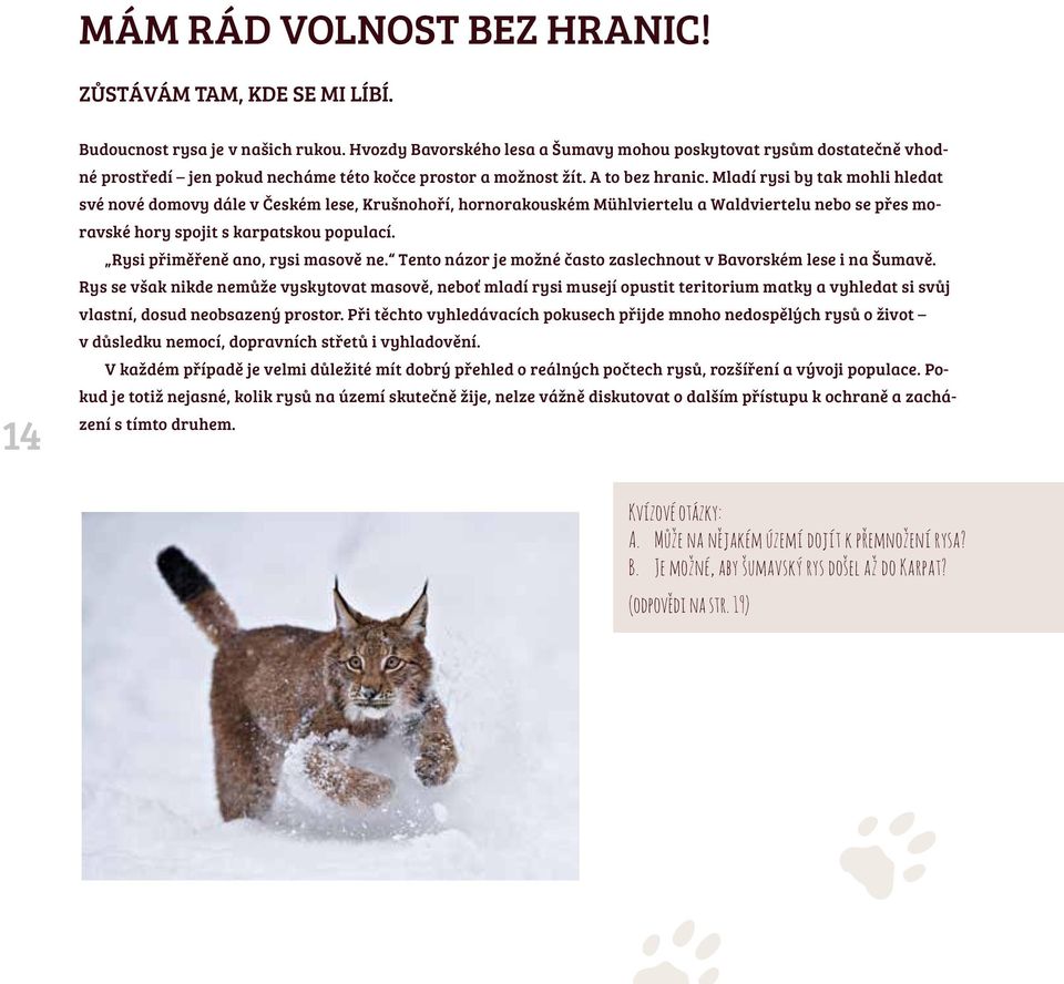 Mladí rysi by tak mohli hledat své nové domovy dále v Českém lese, Krušnohoří, hornorakouském Mühlviertelu a Waldviertelu nebo se přes moravské hory spojit s karpatskou populací.