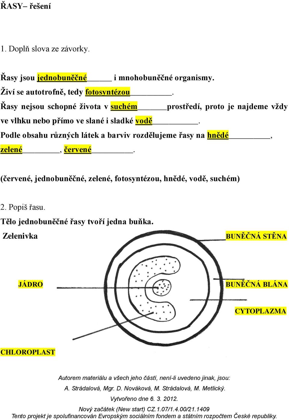 Podle obsahu různých látek a barviv rozdělujeme řasy na hnědé, zelené, červené.