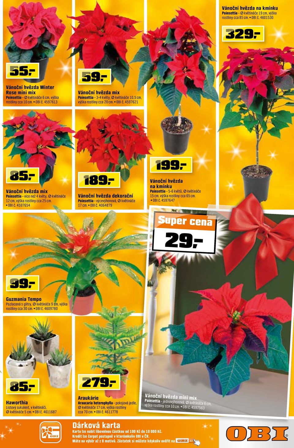 květináče 12 cm, výška rostliny cca 25 cm. OBI č. 4597654 189 Vánoční hvězda dekorační Poinsettia výcevýhonová, prů. květináče 17 cm. OBI č. 4064879 199 Vánoční hvězda na kmínku Poinsettia 5 6 květů, prů.