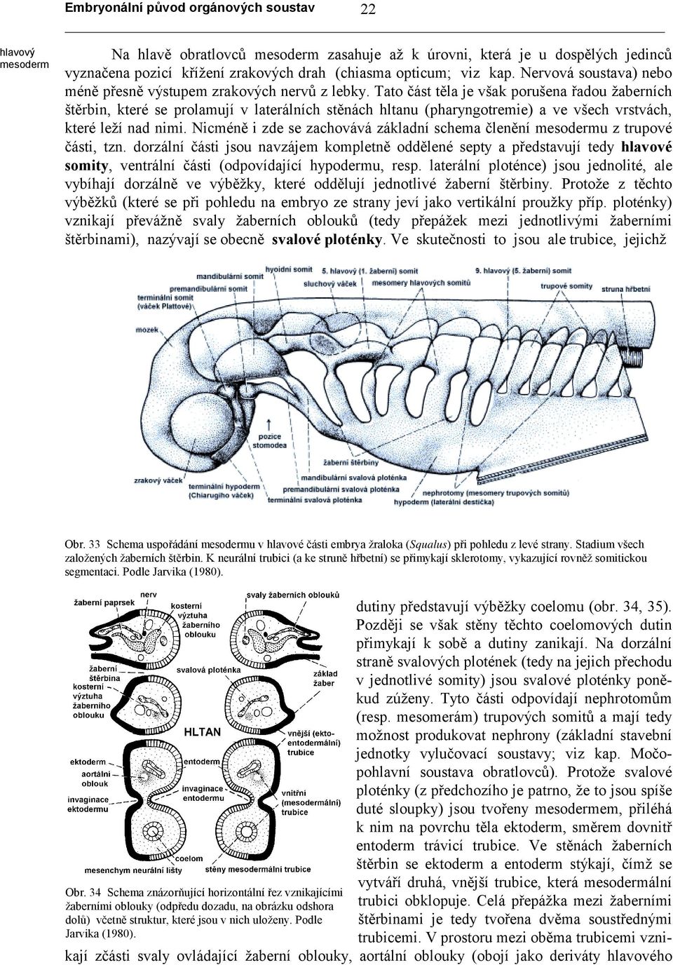 Tato část těla je však porušena řadou žaberních štěrbin, které se prolamují v laterálních stěnách hltanu (pharyngotremie) a ve všech vrstvách, které leží nad nimi.