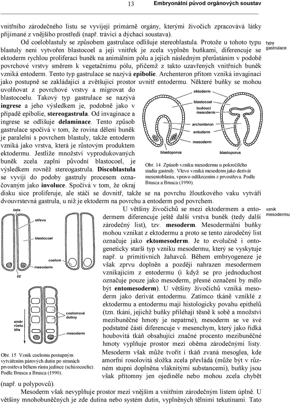 Protože u tohoto typu blastuly není vytvořen blastocoel a její vnitřek je zcela vyplněn buňkami, diferencuje se ektoderm rychlou proliferací buněk na animálním pólu a jejich následným přerůstáním v