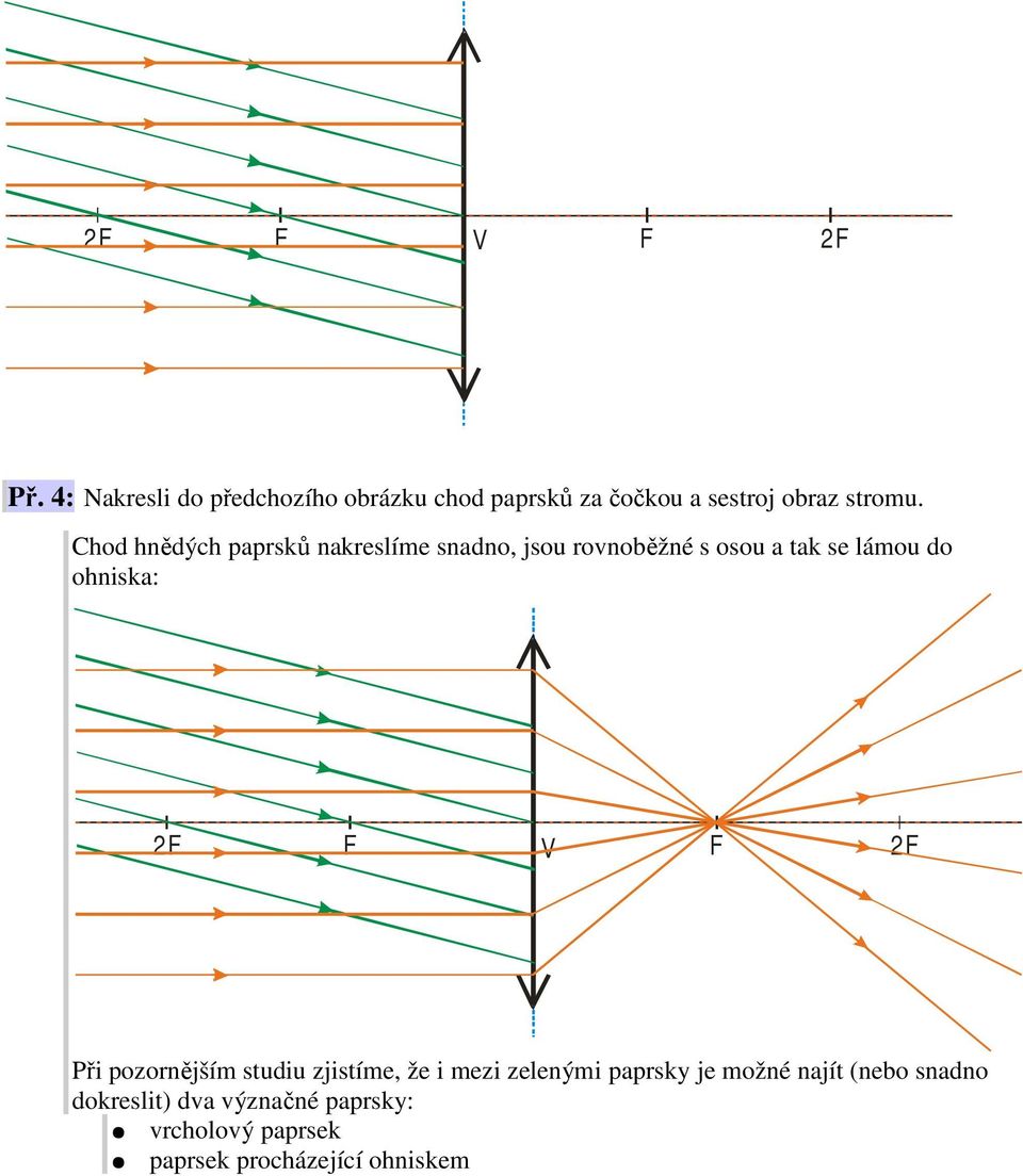 Chod hnědých paprsků nakreslíme snadno, jsou rovnoběžné s osou a tak se lámou do