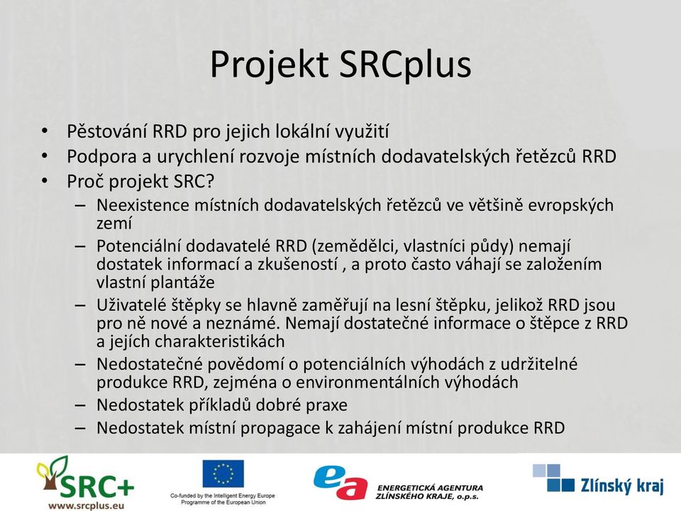 váhají se založením vlastní plantáže Uživatelé štěpky se hlavně zaměřují na lesní štěpku, jelikož RRD jsou pro ně nové a neznámé.