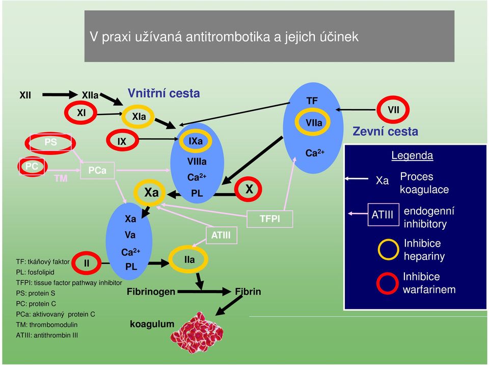 pathway inhibitor PS: protein S PC: protein C PCa: aktivovaný protein C TM: thrombomodulin ATIII: antithrombin III