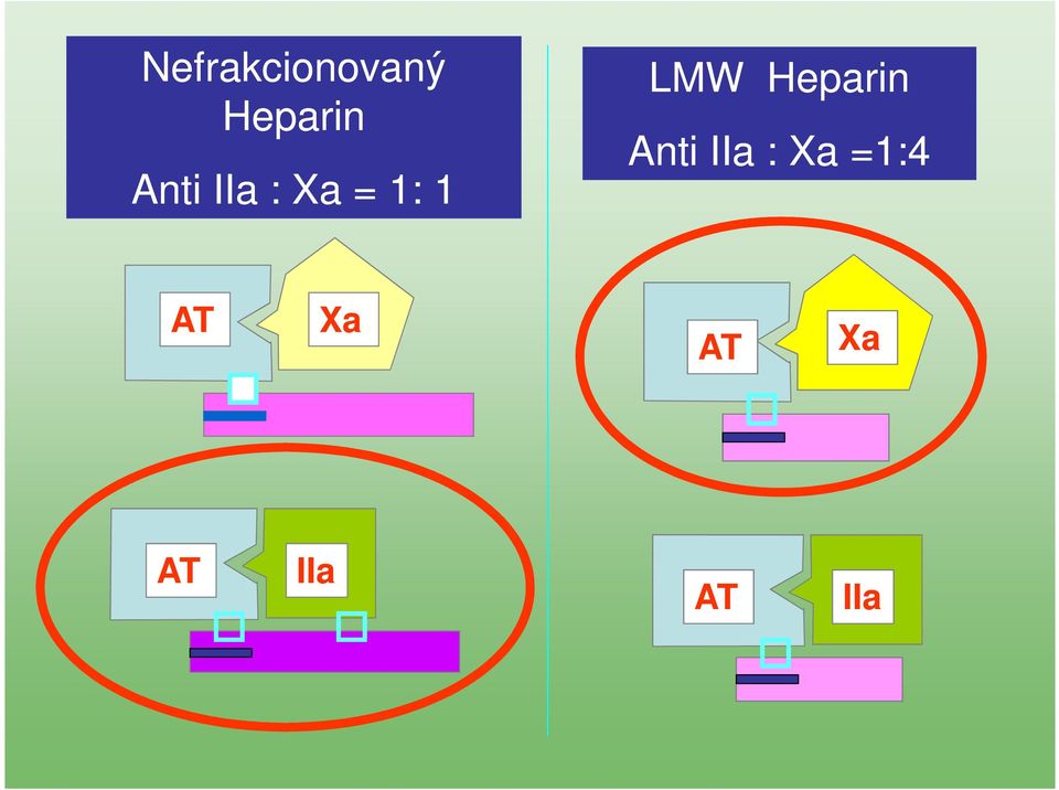 Heparin Anti IIa : Xa