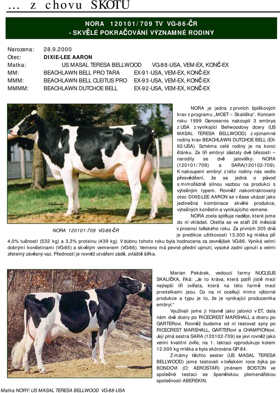 2000 Otec: DIXIE-LEE AARON Matka: US MASAL TERESA BELLWOOD VG-88-USA, VEM-EX, KONČ-EX MM: BEACHLAWN BELL PRO TARA EX-91-USA, VEM-EX, KONČ-EX MMM: BEACHLAWN BELL CLEITUS PRO EX-93-USA, VEM-EX, KONČ-EX