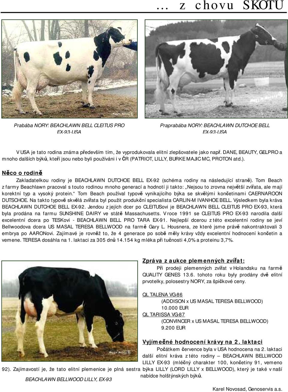 Něco o rodině Zakladatelkou rodiny je BEACHLAWN DUTCHOE BELL EX-92 (schéma rodiny na následující straně).
