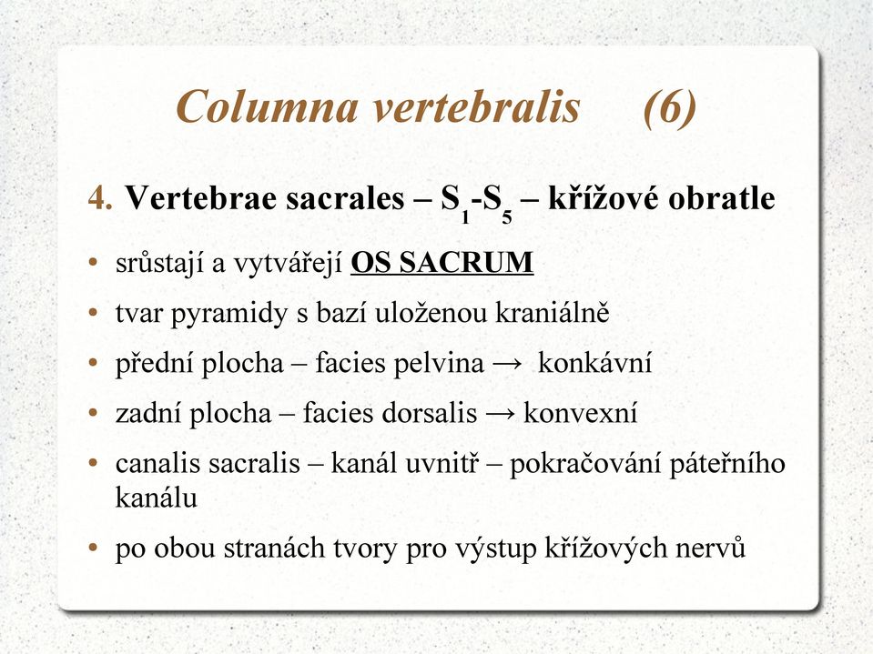 pyramidy s bazí uloženou kraniálně přední plocha facies pelvina konkávní zadní