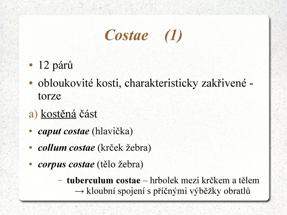 costae (krček žebra) corpus costae (tělo žebra) tuberculum