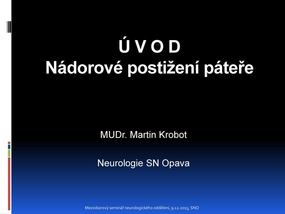 Opava Mezioborový seminář