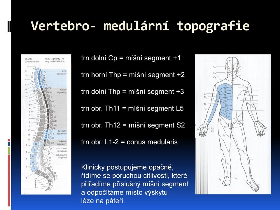 Th12 = míšní segment S2 trn obr.