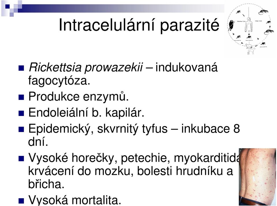 Epidemický, skvrnitý tyfus inkubace 8 dní.