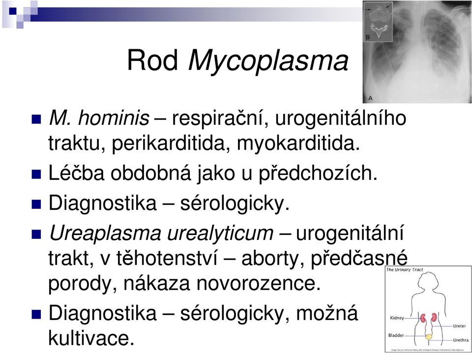 Léčba obdobná jako u předchozích. Diagnostika sérologicky.