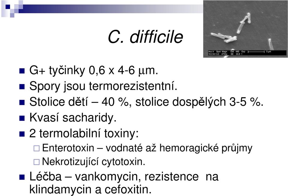 2 termolabilní toxiny: Enterotoxin vodnaté až hemoragické průjmy