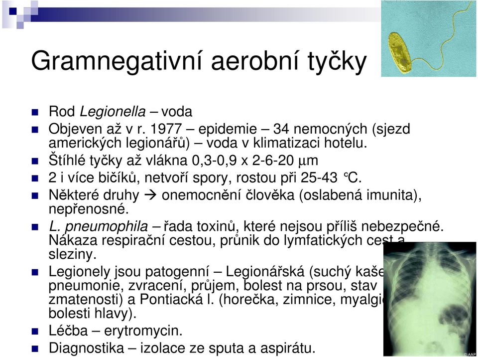 pneumophila řada toxinů, které nejsou příliš nebezpečné. Nákaza respirační cestou, průnik do lymfatických cest a sleziny.