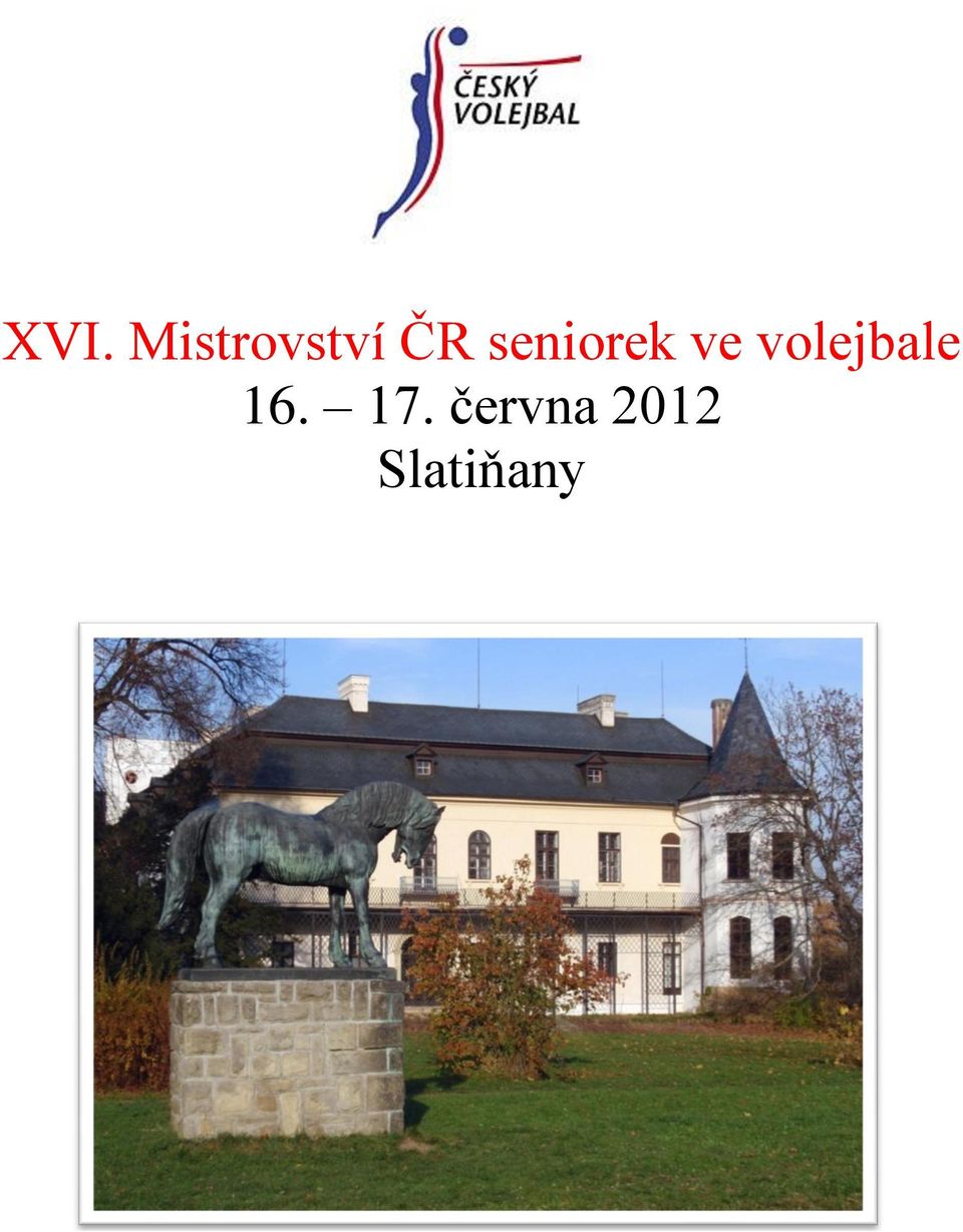 volejbale 16. 17.