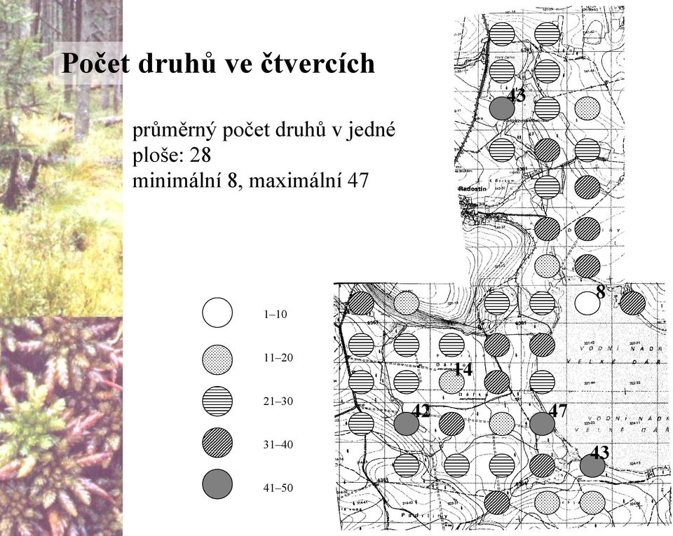 ploše: 28 minimální 8, maximální