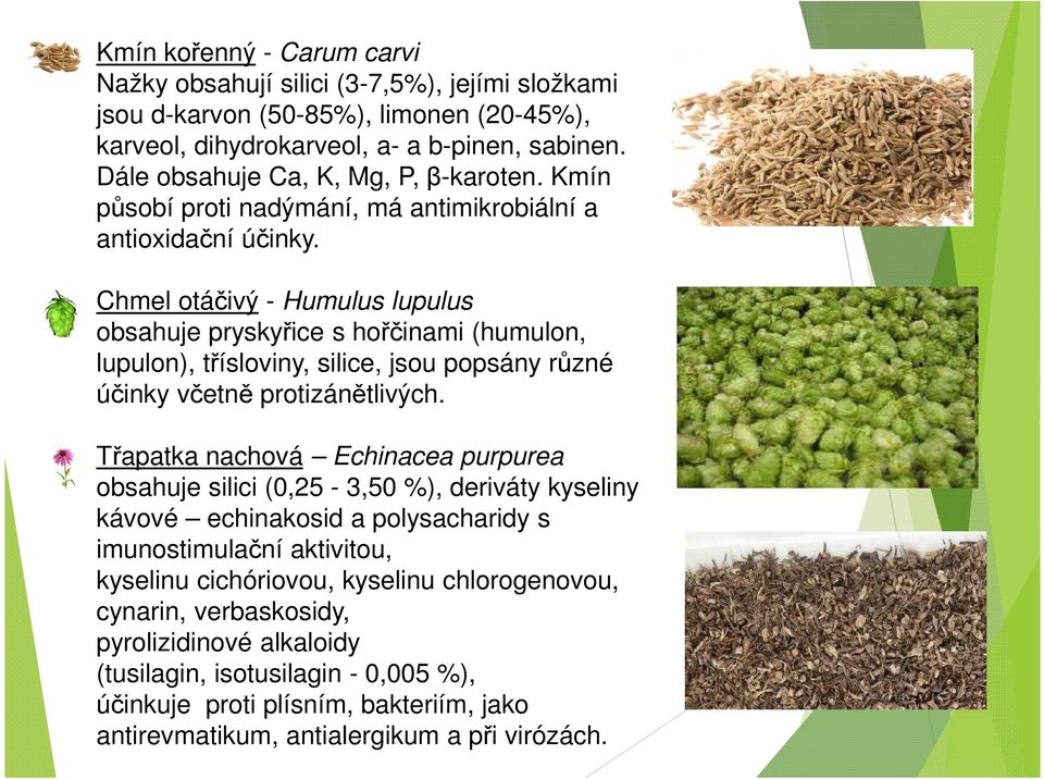 Chmel otáčivý - Humulus lupulus obsahuje pryskyřice s hořčinami (humulon, lupulon), třísloviny, silice, jsou popsány různé účinky včetně protizánětlivých.