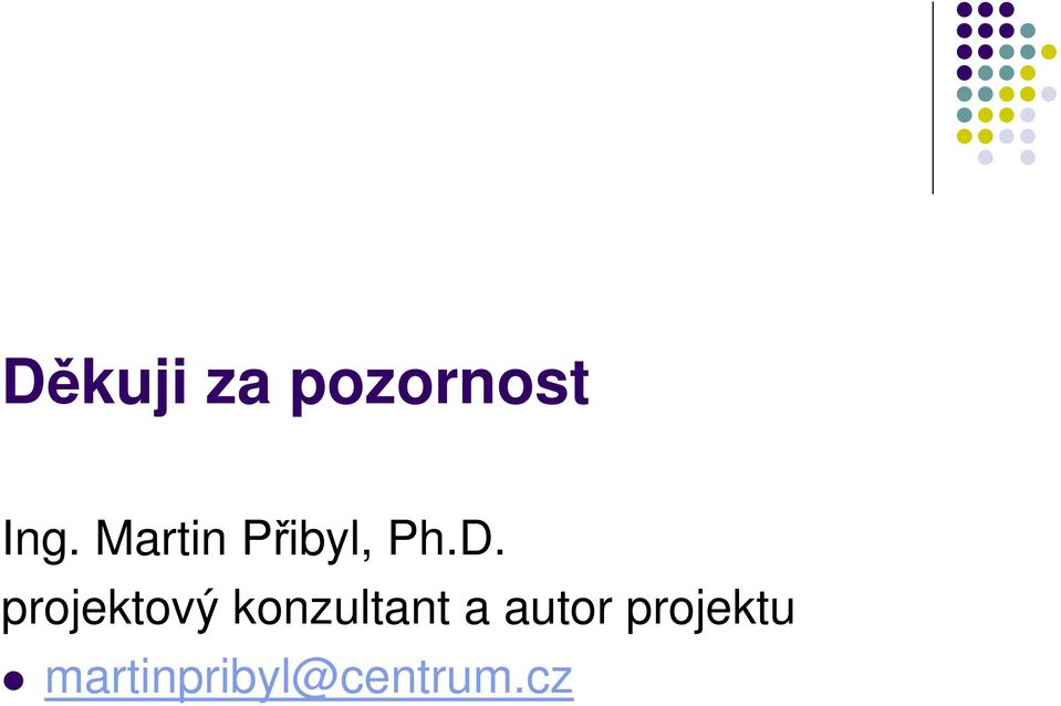 projektový konzultant a