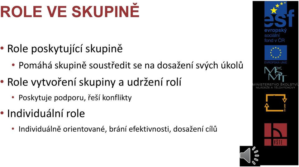 a udržení rolí Poskytuje podporu, řeší konflikty