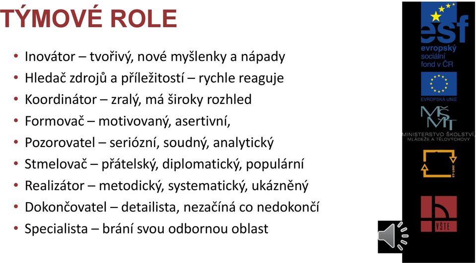 seriózní, soudný, analytický Stmelovač přátelský, diplomatický, populární Realizátor metodický,