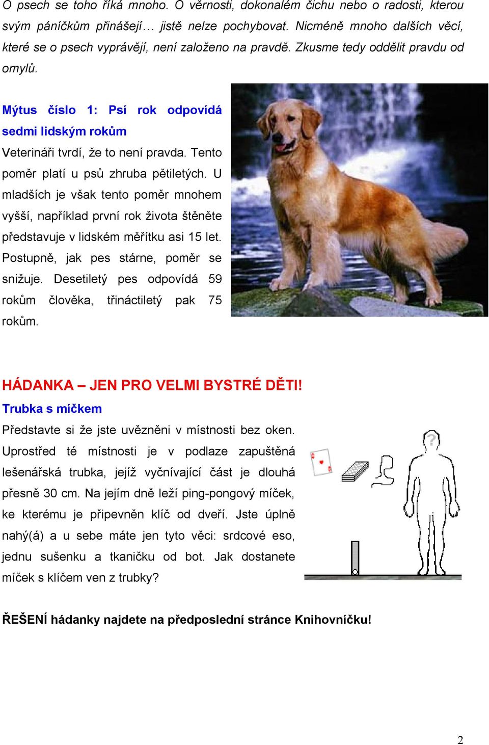 Mýtus číslo 1: Psí rok odpovídá sedmi lidským rokům Veterináři tvrdí, že to není pravda. Tento poměr platí u psů zhruba pětiletých.