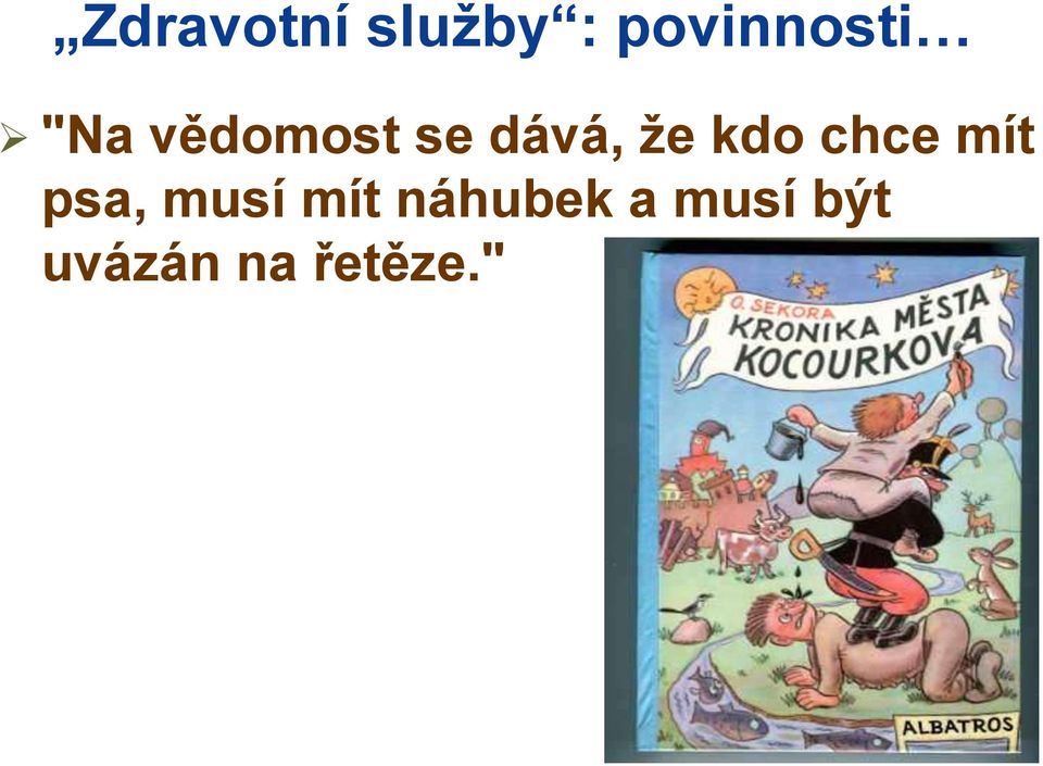 chce mít psa, musí mít