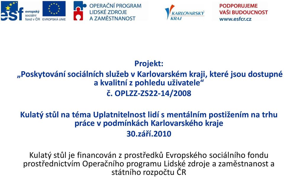 OPLZZ-ZS22-14/2008 Kulatý stůl na téma Uplatnitelnost lidí s mentálním postižením na trhu práce v