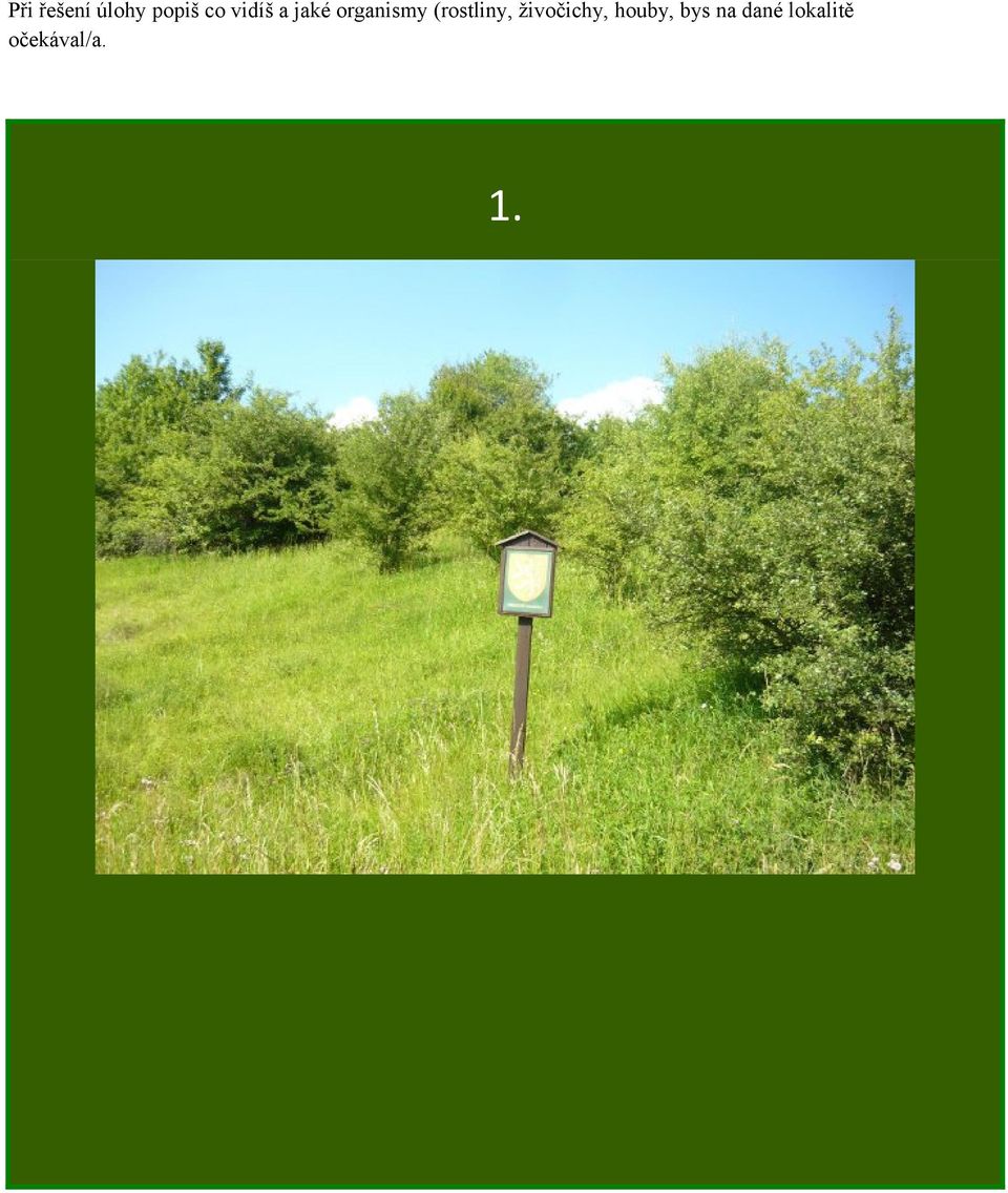 (rostliny, živočichy, houby,
