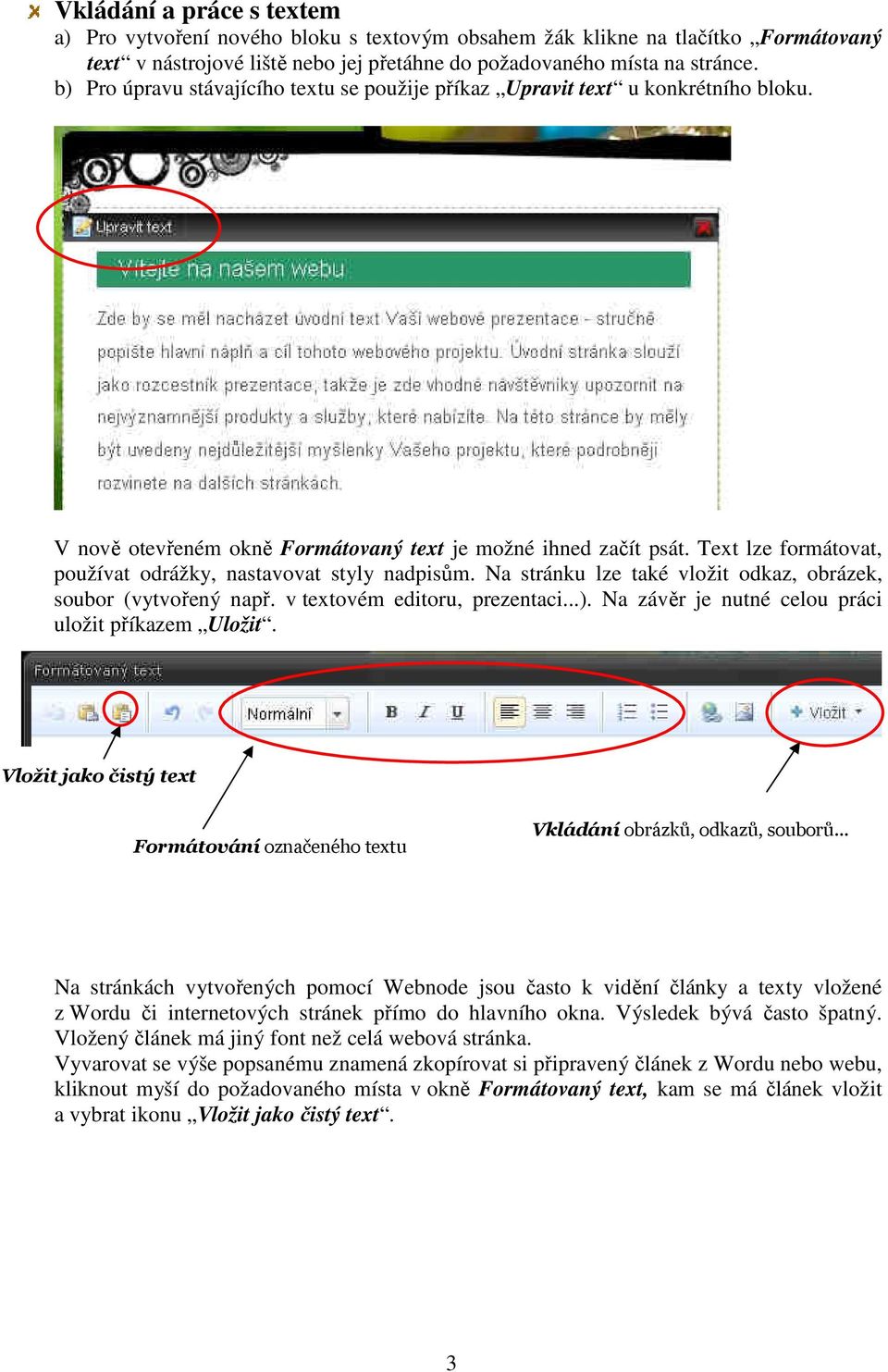 Text lze formátovat, používat odrážky, nastavovat styly nadpisům. Na stránku lze také vložit odkaz, obrázek, soubor (vytvořený např. v textovém editoru, prezentaci...).