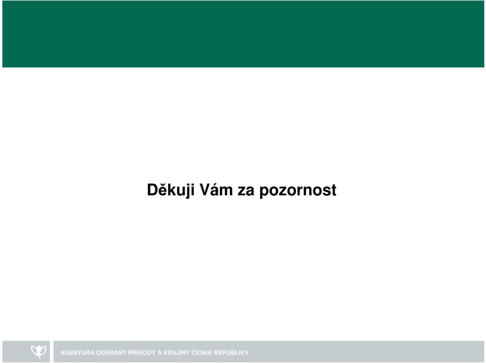pozornost