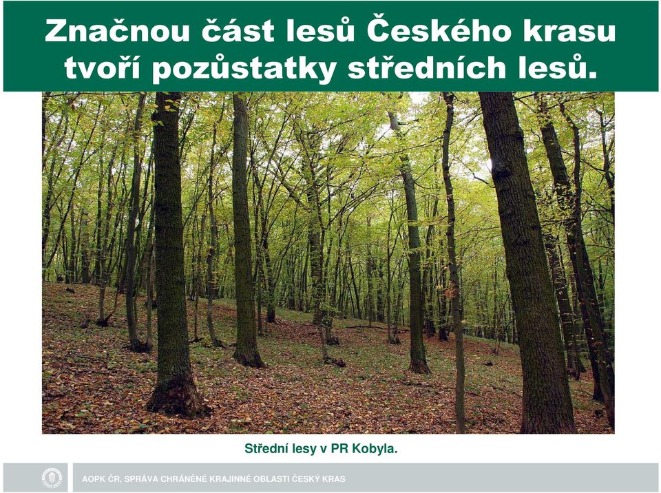 pozůstatky středních