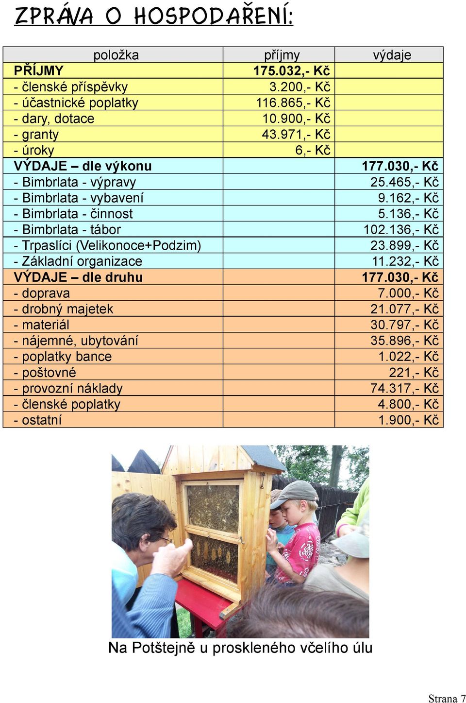 provozní náklady - členské poplatky - ostatní příjmy 175.032,- Kč 3.200,- Kč 116.865,- Kč 10.900,- Kč 43.971,- Kč 6,- Kč výdaje 177.030,- Kč 25.465,- Kč 9.162,- Kč 5.136,- Kč 102.