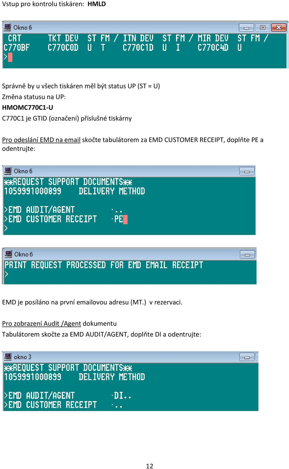 za EMD CUSTOMER RECEIPT, doplňte PE a odentrujte: EMD je posíláno na první emailovou adresu (MT.