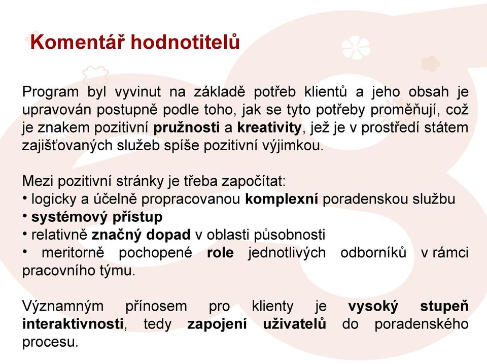 Mezi pozitivní stránky je třeba započítat: logicky a účelně propracovanou komplexní poradenskou službu systémový přístup relativně značný dopad v oblasti