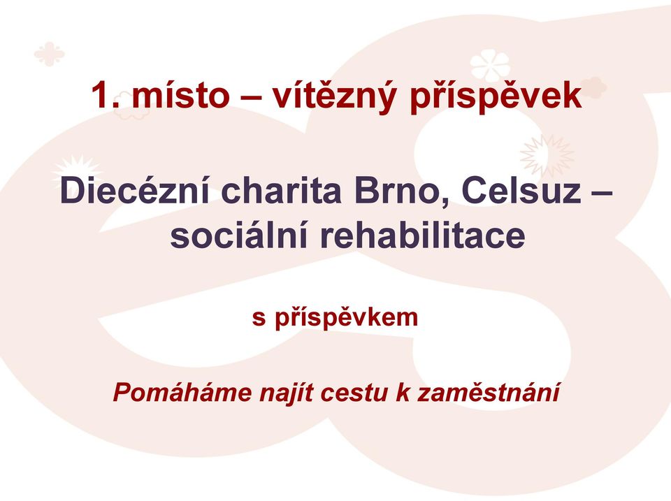 sociální rehabilitace s