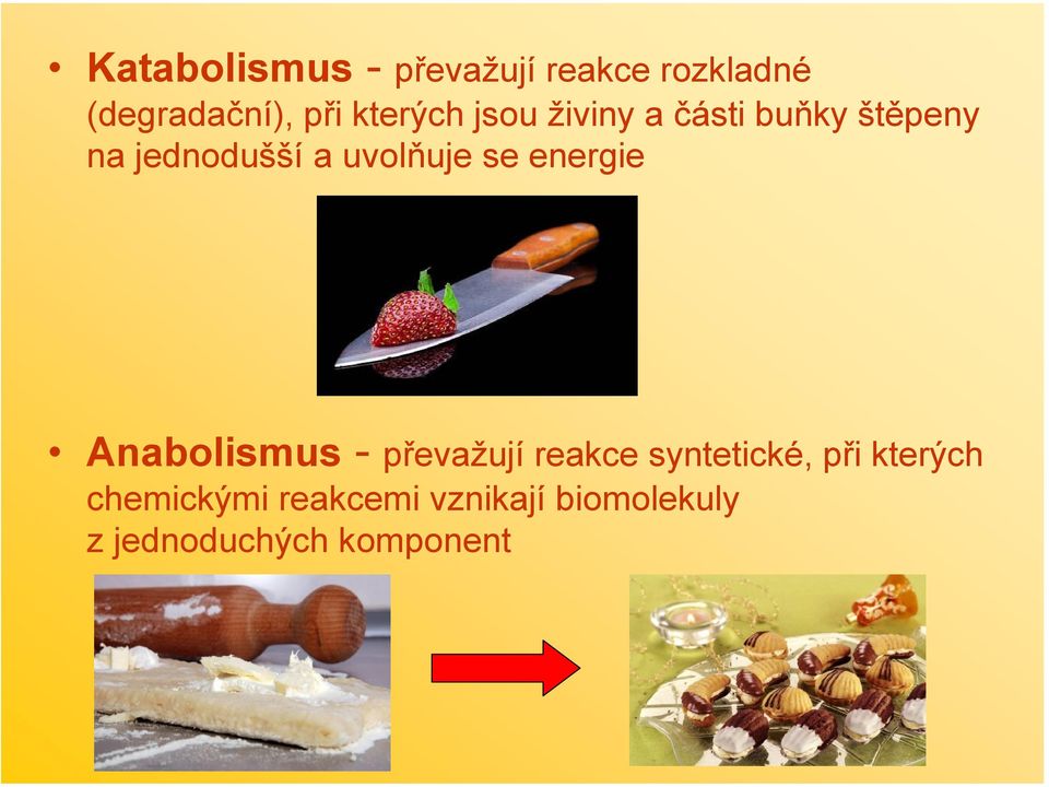 uvolňuje se energie Anabolismus převažují reakce syntetické,