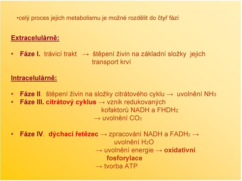 štěpení živin na složky citrátového cyklu uvolnění NH3 Fáze III.