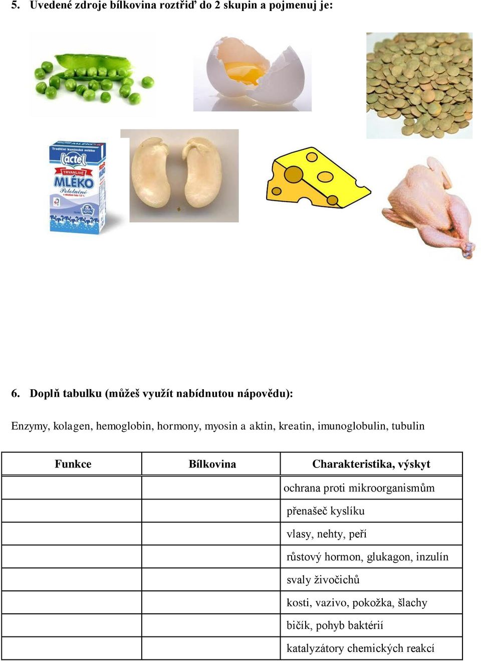 kreatin, imunoglobulin, tubulin Funkce Bílkovina harakteristika, výskyt ochrana proti mikroorganismům přenašeč