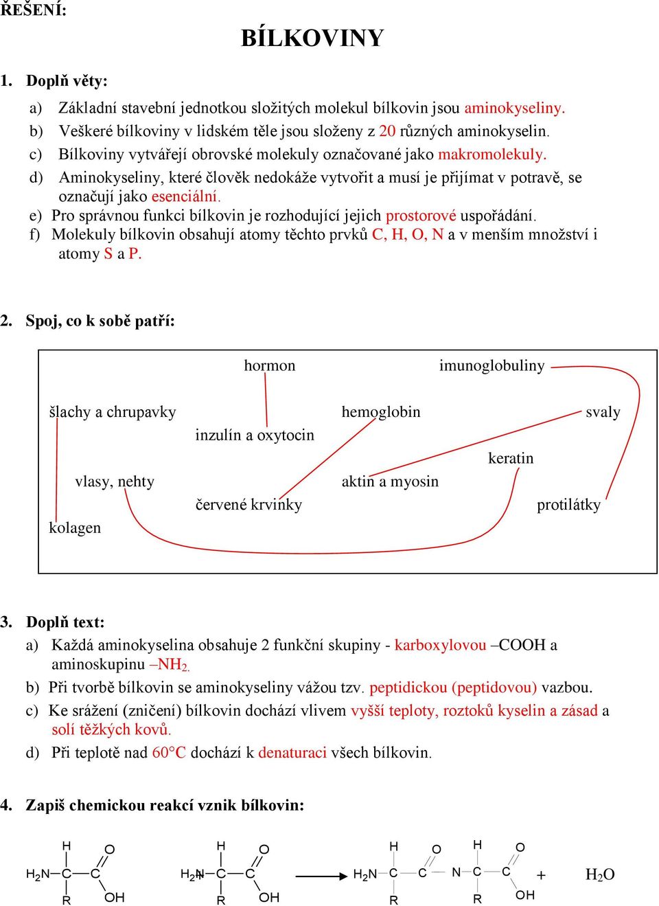 e) Pro správnou funkci bílkovin je rozhodující jejich prostorové uspořádání. f) Molekuly bílkovin obsahují atomy těchto prvků,,, N a v menším množství i atomy S a P. 2.