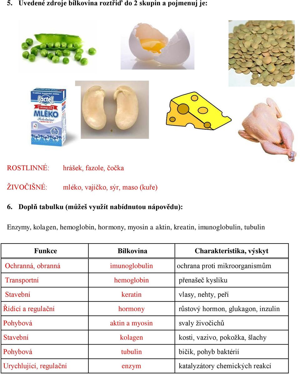 výskyt chranná, obranná imunoglobulin ochrana proti mikroorganismům Transportní hemoglobin přenašeč kyslíku Stavební keratin vlasy, nehty, peří Řídící a regulační hormony