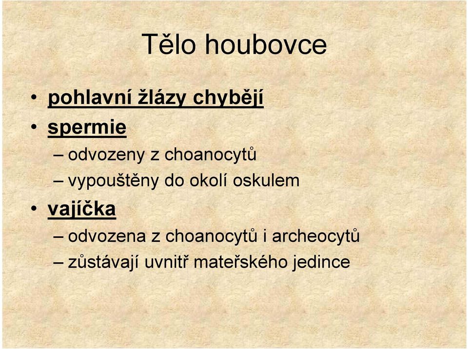 okolí oskulem vajíčka odvozena z choanocytů