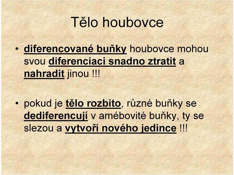 !! pokud je tělo rozbito, různé buňky se