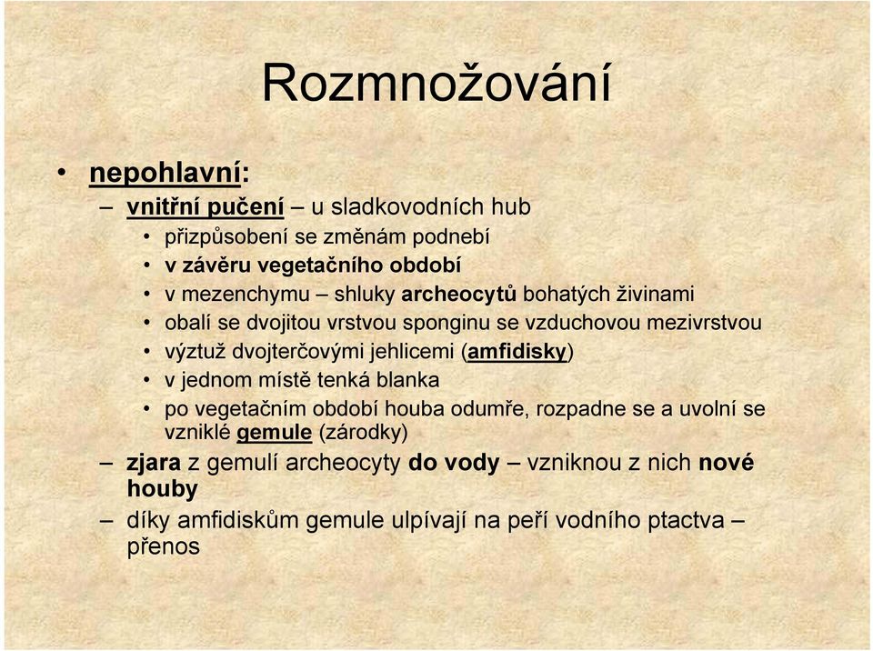 dvojterčovými jehlicemi (amfidisky) v jednom místě tenká blanka po vegetačním období houba odumře, rozpadne se a uvolní se